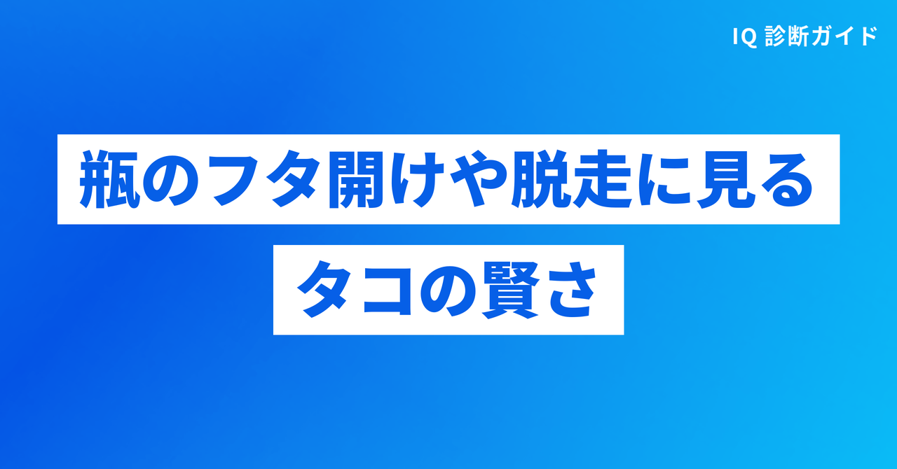 瓶のフタ開けや脱走に見るタコの賢さ