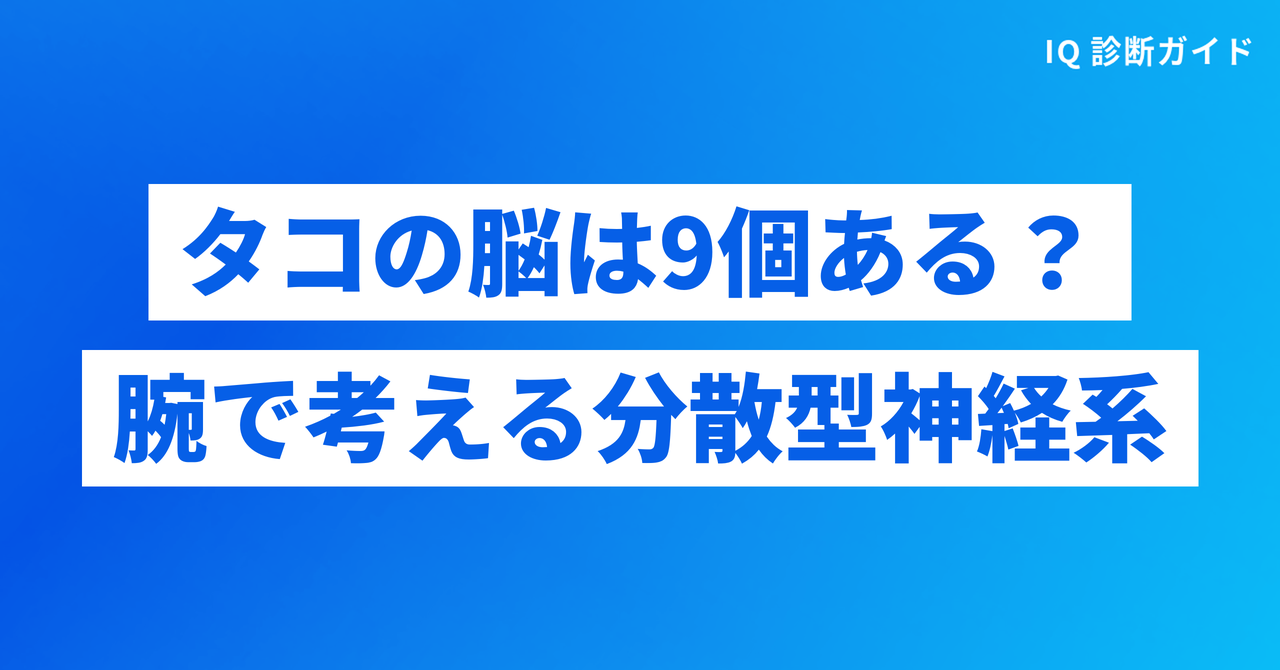 タコの脳は9個ある？腕で考える分散型神経系