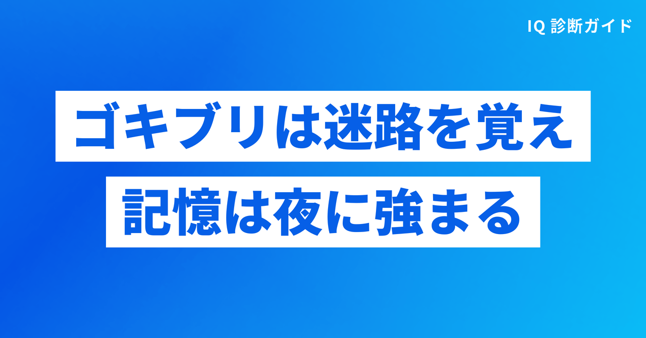 ゴキブリは迷路を覚え記憶は夜に強まる